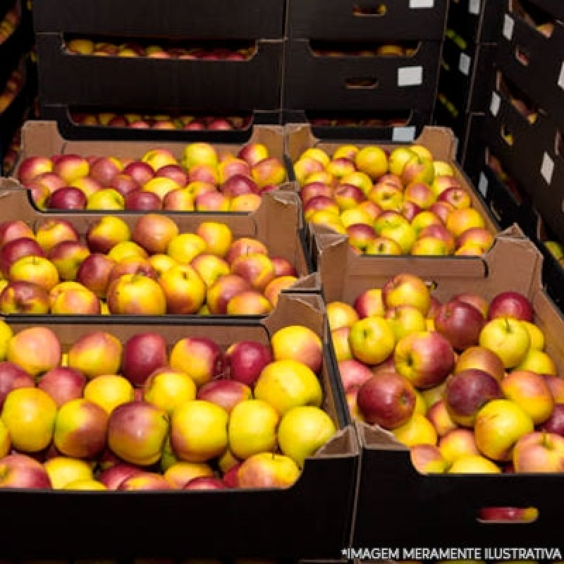 Contato de Fornecedor de Frutas de Escritório Vila Andrade - Fornecedor Frutas