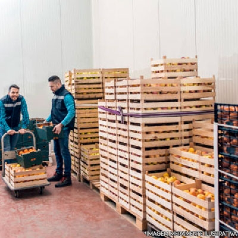 Contato de Fornecedor de Frutas Vila Carrão - Fornecedores de Frutas para Empresas