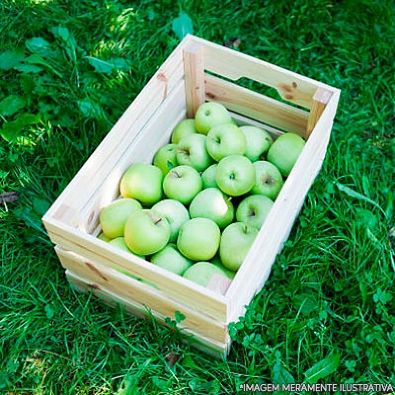 Distribuição de Frutas em Empresas Chácara do Piqueri - Entrega Frutas Empresas