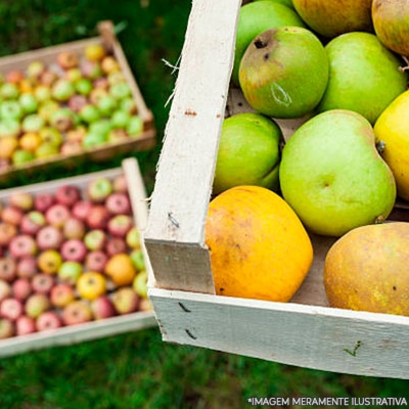 Empresa de Entrega Frutas Nossa Senhora do Ó - Entrega de Frutas no Trabalho