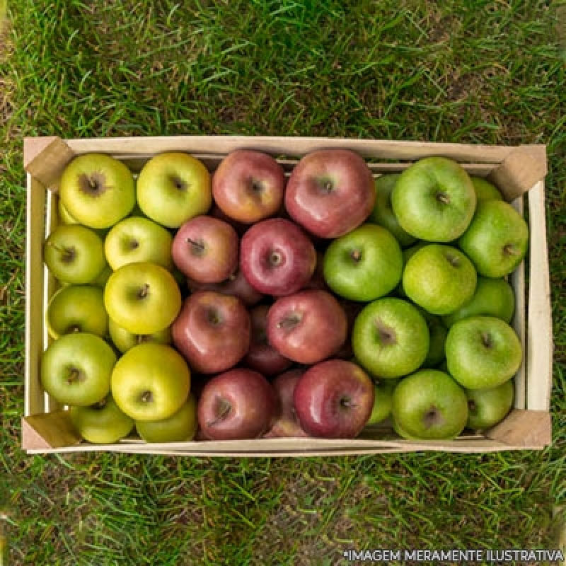 Entrega de Frutas no Trabalho Orçamento Sapopemba - Entrega de Frutas em Escritorios