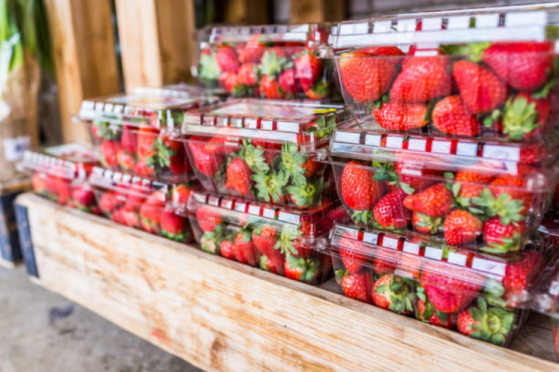 Fornecedor de Frutas e Legumes Processados Taboão da Serra - Frutas Processadas e Embaladas