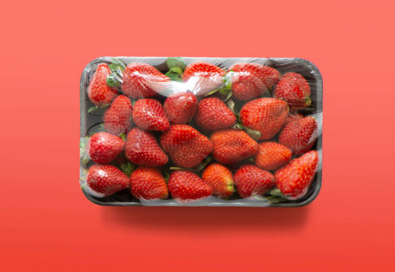 Fornecedor de Frutas Pre Processadas Vila Andrade - Frutas Processadas sob Forma de Salada