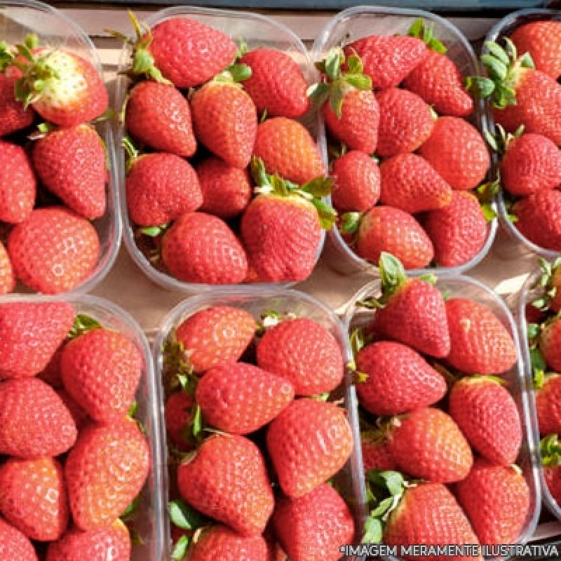 Onde Encontro Fornecedor de Frutas de Escritório Lapa - Fornecedores Frutas Secas